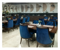 Hotel Polo Inn And Suites