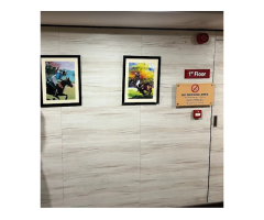 Hotel Polo Inn And Suites