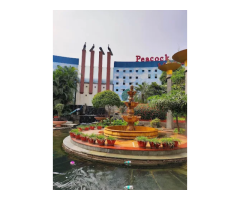 East Lawn Entertainment Paradise Jaipur Marriage Garden