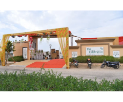 The Celebration Wedding Garden