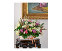 Floral Street Jaipur