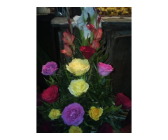 Deepali Singh Flower & Bukey Shop