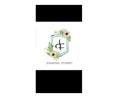 Diamond Florist Home