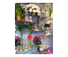 Govindam The Flower Shoppe