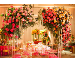 ShaadiWala Wedding planner in Jaipur