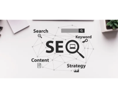 Quibus Trainings Institute for Digital Marketing Course in Jaipur