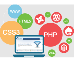 Ajay Maanju- Best WordPress Developer | Best IT Solution Provider | Best Website Development Company