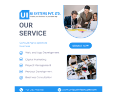 UI Systems Pvt. Ltd.