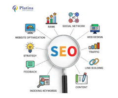 Platina Web Solutions - Website Designers and Website Developers Jaipur || Digital Marketing