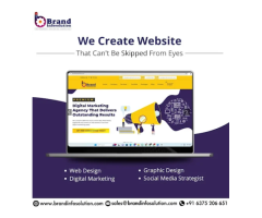 BRAND INFOSOLUTION - Best Website Designers  Developers  SEO  Software  Digital Marketing Company
