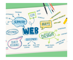 Shekhuddin Qureshi - Best Website Designer and Developer in Jaipur