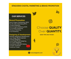 Stagoenix Digital Marketing and Brand Promotion Company