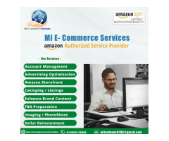 M I eCommerce Services