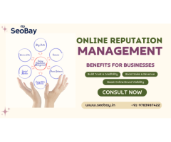 SeoBay India - A Digital Marketing Company in Jaipur