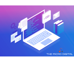 The Micro Digital