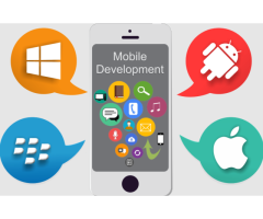 Innate Solution - Leading Web Development & Digital Marketing Company