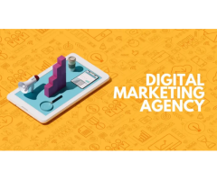 Crisom Curve Digital Marketing Agency