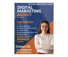 Shyam Infotech Hub | Digital Marketing | SEO | SMO | Jaipur Rajasthan