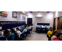 horizon application software solutions campaign company