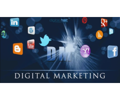 Digitalhalt.com | #1 Digital Marketing Company in Sikar  Rajasthan