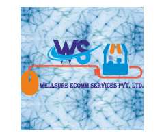 WELLSURE E-COMM SERVICES PVT. LTD.