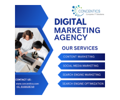 Concentics Private Limited || Digital Marketing company in Ajmer || Software development company