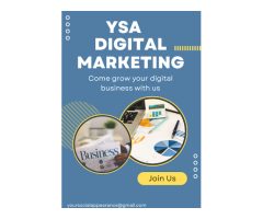 YSA- Best Digital Marketer and Web Developer Ajmer Rajasthan