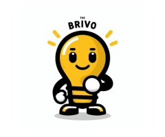 The Brivo - Best Digital Marketing Agency