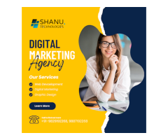 Shanu Technologies (Web development  Digital Marketing  SEO  SMO  SMM  PPC  Graphic Design  etc. )