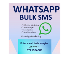 Future Web Technologies - Best Web Design Company  Kota