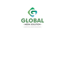 GLOBAL MEDIA SOLUTION