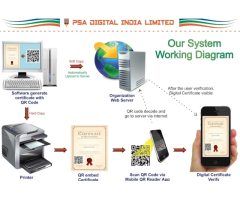 Psa Digital India Limited