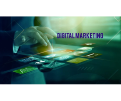 Shuchi Digital Marketing and Services