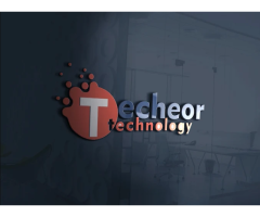 Techeor Technology - Best Website Designing Company in Rohini