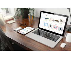 Mirai | Website Designing Company in Delhi