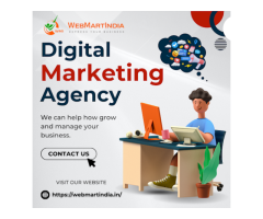 WebMartIndia | Website Designing Company in Delhi  India | Seo Services in Delhi  India