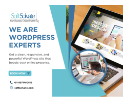 SoftSolvate - Best Website Designing Company in Delhi