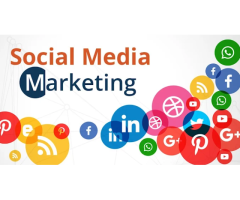 DrowDigital - SEO  PPC  Marketing Agency