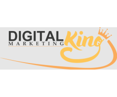 Digital Marketing King - Best Digital Marketing Agency in Delhi