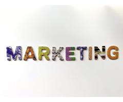 search engine optimization seo agency in faridabad