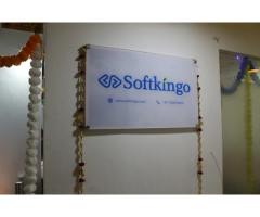 Softkingo - Top Mobile App & Web Development Company in India  Delhi  NCR