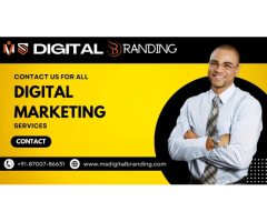 Ms Digital Branding - Website Development and Mobile Application Development Company