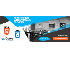 Freelance Website Designer/Developer in Delhi NCR - RAVISAH.IN