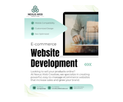 Nexus Web Creation - Website Designing Company in Delhi Rohini || Digital Marketing Company