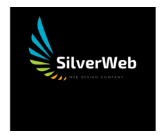 SilverWeb - Web Designing Development Company in Rohini Pitampura Delhi