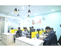 White Bunnie %u2013 Local SEO Agency in Delhi | Performance Marketing Agency in Delhi