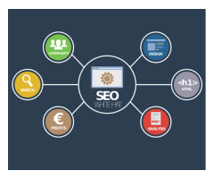 Web Design | Web Development | SEO Company - VolitionTec