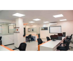 Web India Digital - Best Digital Marketing Agency in Delhi