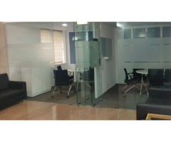 The Web Lead | SEO Services | Website Design & Best Digital Marketing Agency/Company