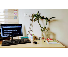 Desiment - Website Designing Company in Delhi  India